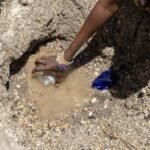 Drought Crisis Deepens in Turkana: Families Turn to Wild Fruits as Malnutrition Skyrockets