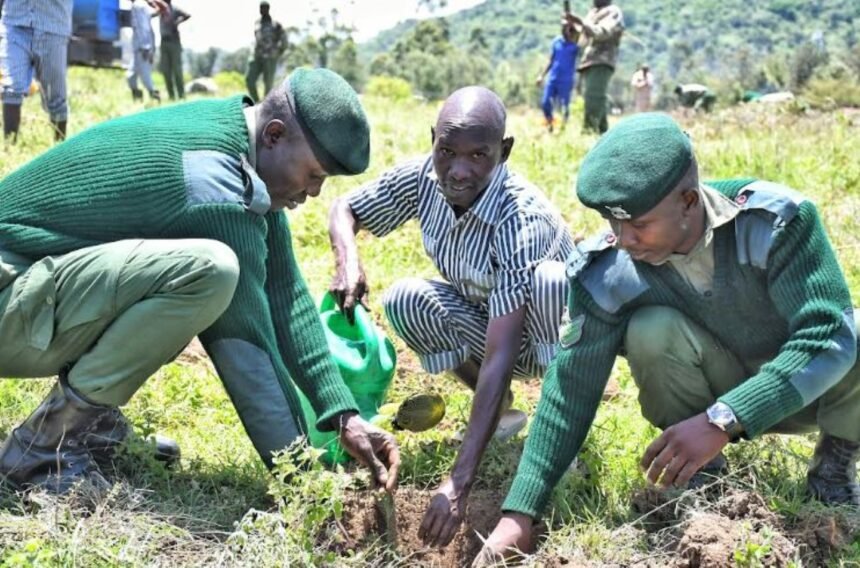 Government Commences Construction of 3,000 Housing Units for Kenya Prison Officers