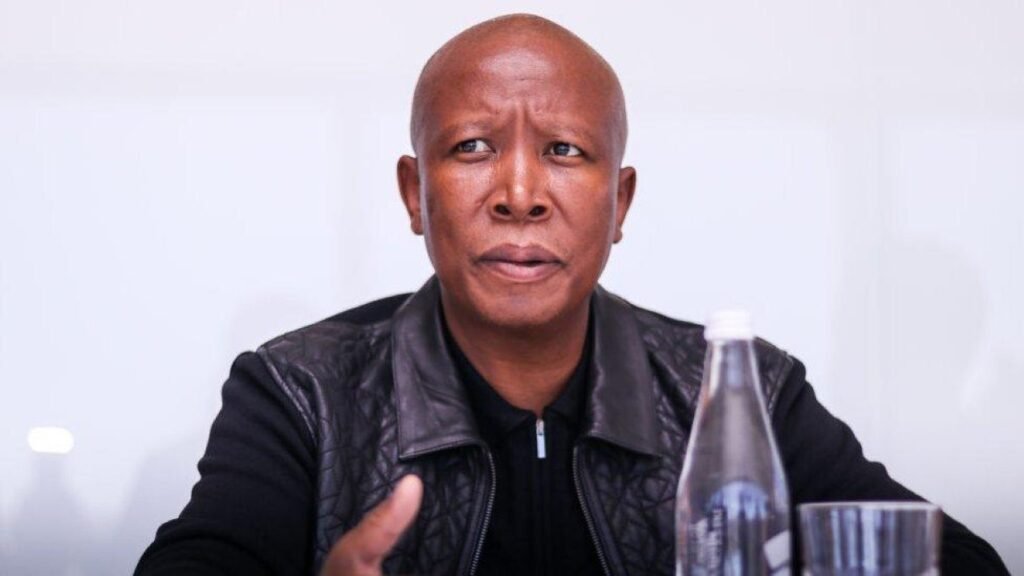 Julius Malema Sentenced to Five Years in Prison - Image Credited by BBC