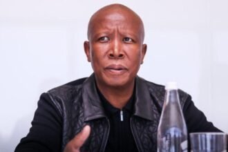 Julius Malema Sentenced to Five Years in Prison