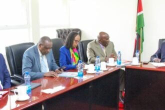 KUCCPS Opens 2026 Placement Portal for Universities, Colleges, and TVETs