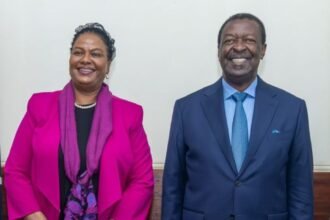 Kenya Launches Strategic Diplomatic Campaign for Justice Njoki Ndung’u’s ICC Bid