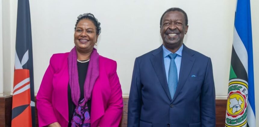 Kenya Launches Strategic Diplomatic Campaign for Justice Njoki Ndung’u’s ICC Bid Kenya Launches Strategic Diplomatic Campaign for Justice Njoki Ndung’u’s ICC Bid