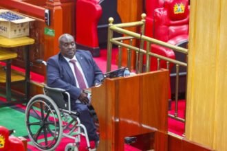 Nominated MP Kipchumba Demands Enforcement Framework for PWD Act 2025